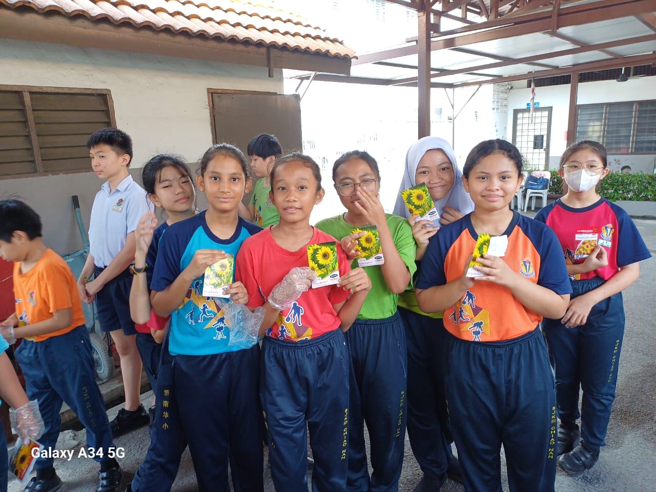 六年级毕业生种植向日葵活动