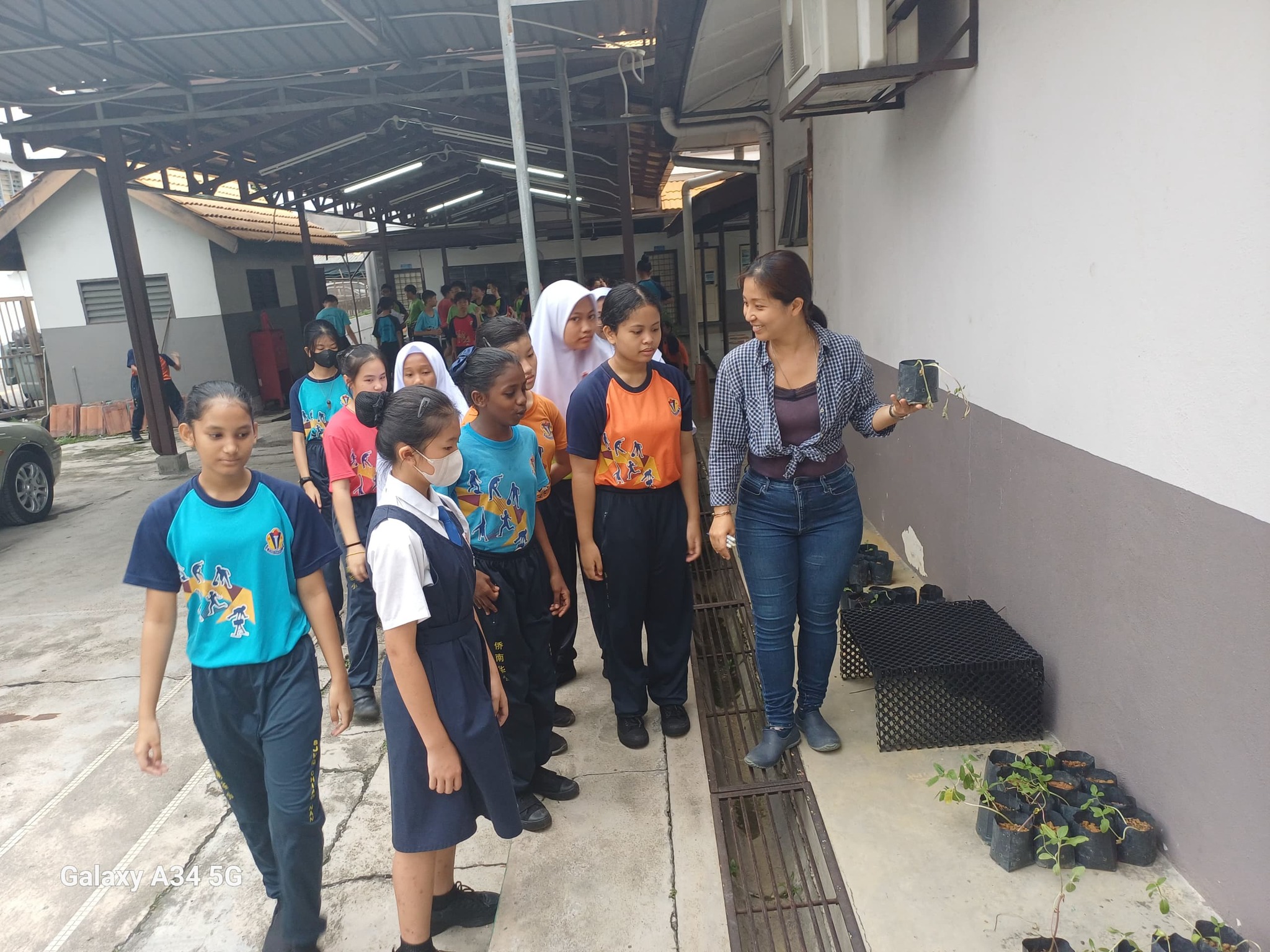 亲身体验种植向日葵